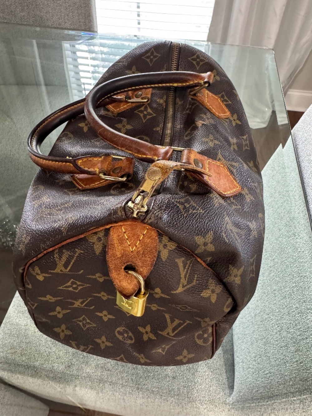 Louis Vuitton Speedy 30